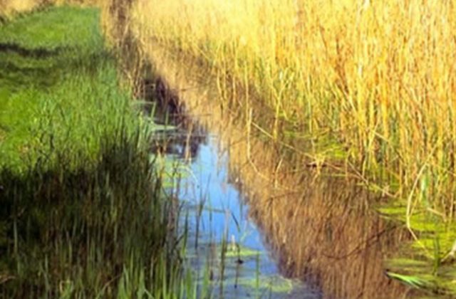 Fenland ditch - WoodWalton Fen © Roger Ke