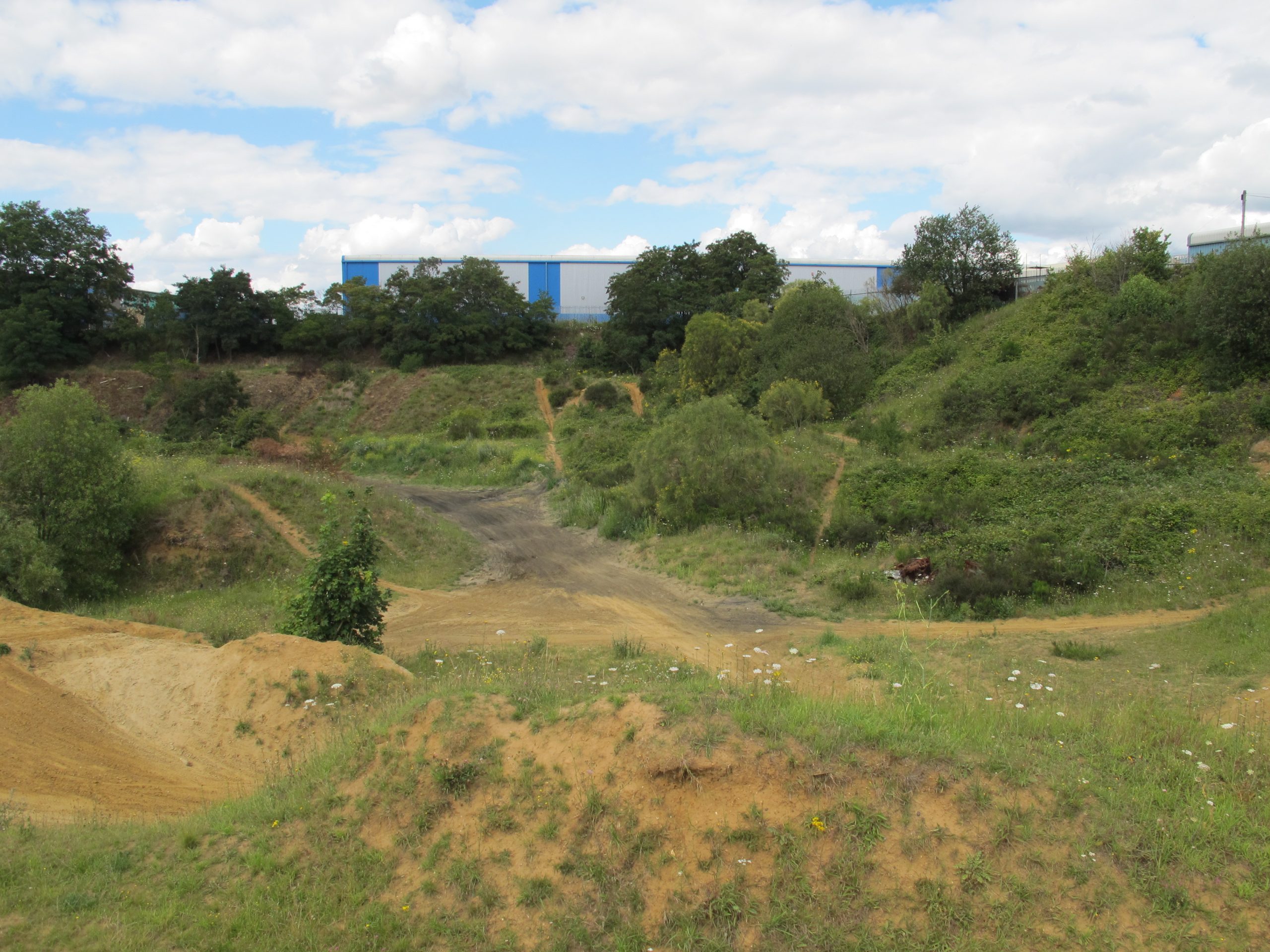 Brownfields sites under threat Buglife