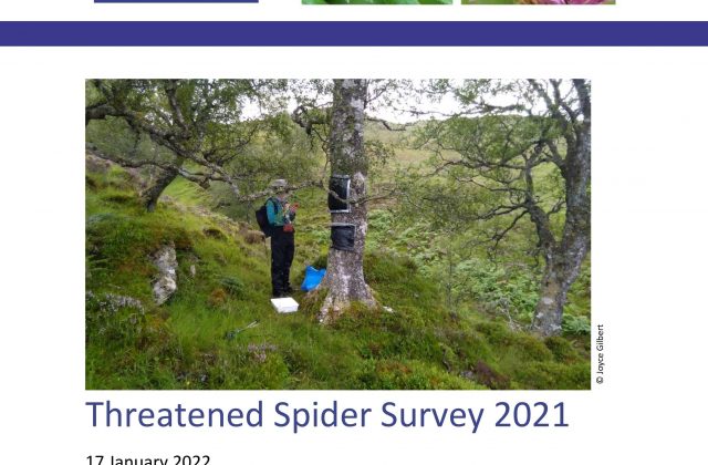 Threatened Spider Survey Report 2021 - FrontPage
