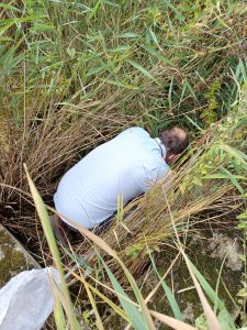 Peter hunting for invertebrates in a dry reed bed © Jo Loman