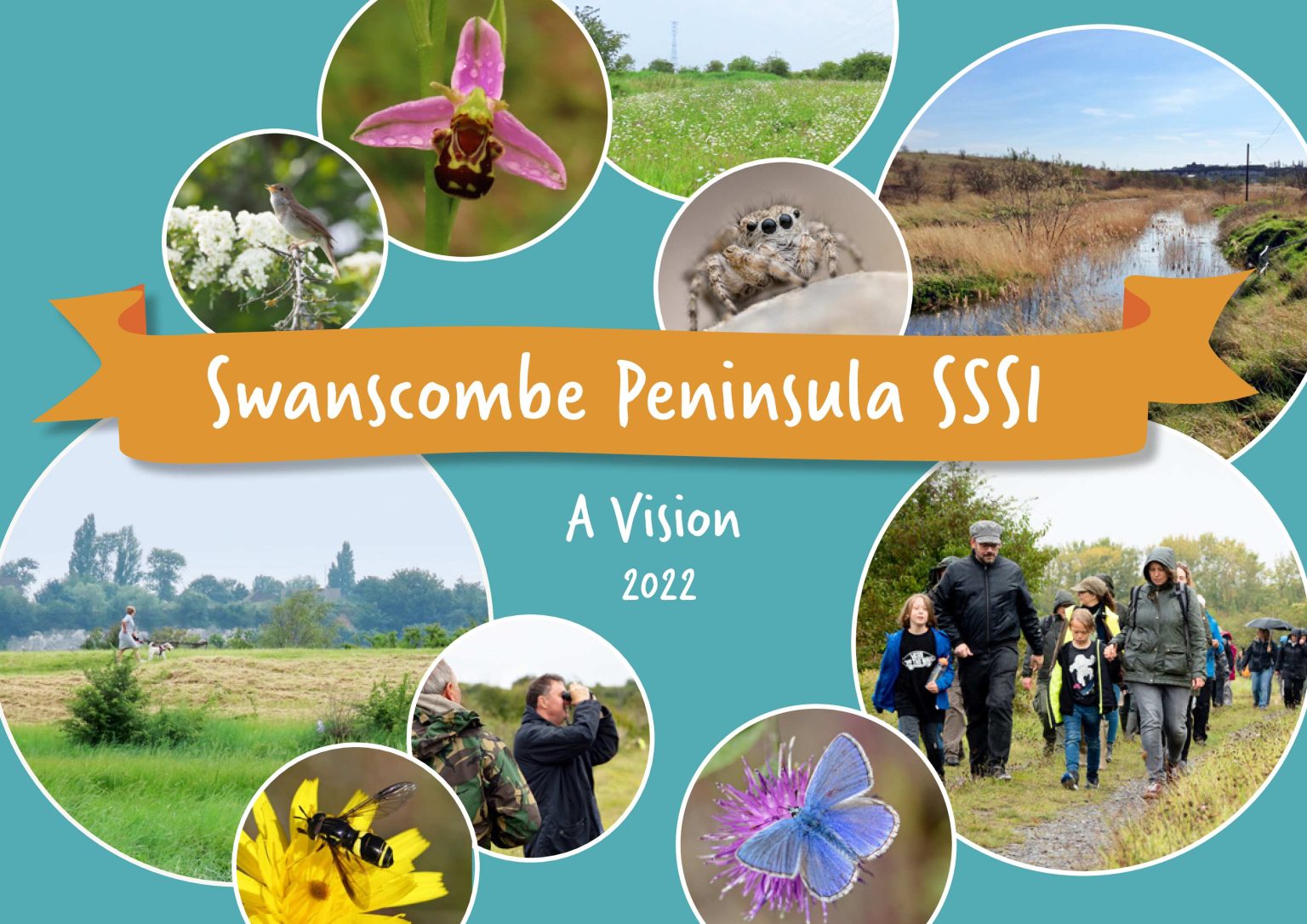 Vision for Peninsula Buglife