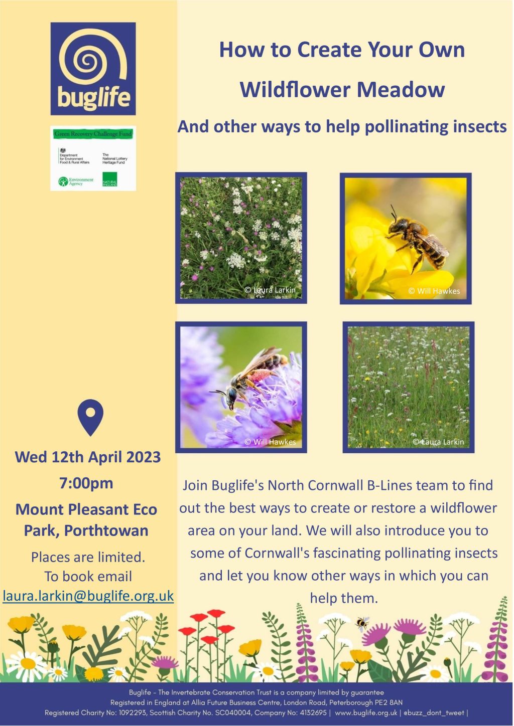 How to Create Your Own Wildflower Meadow with North Cornwall BLines