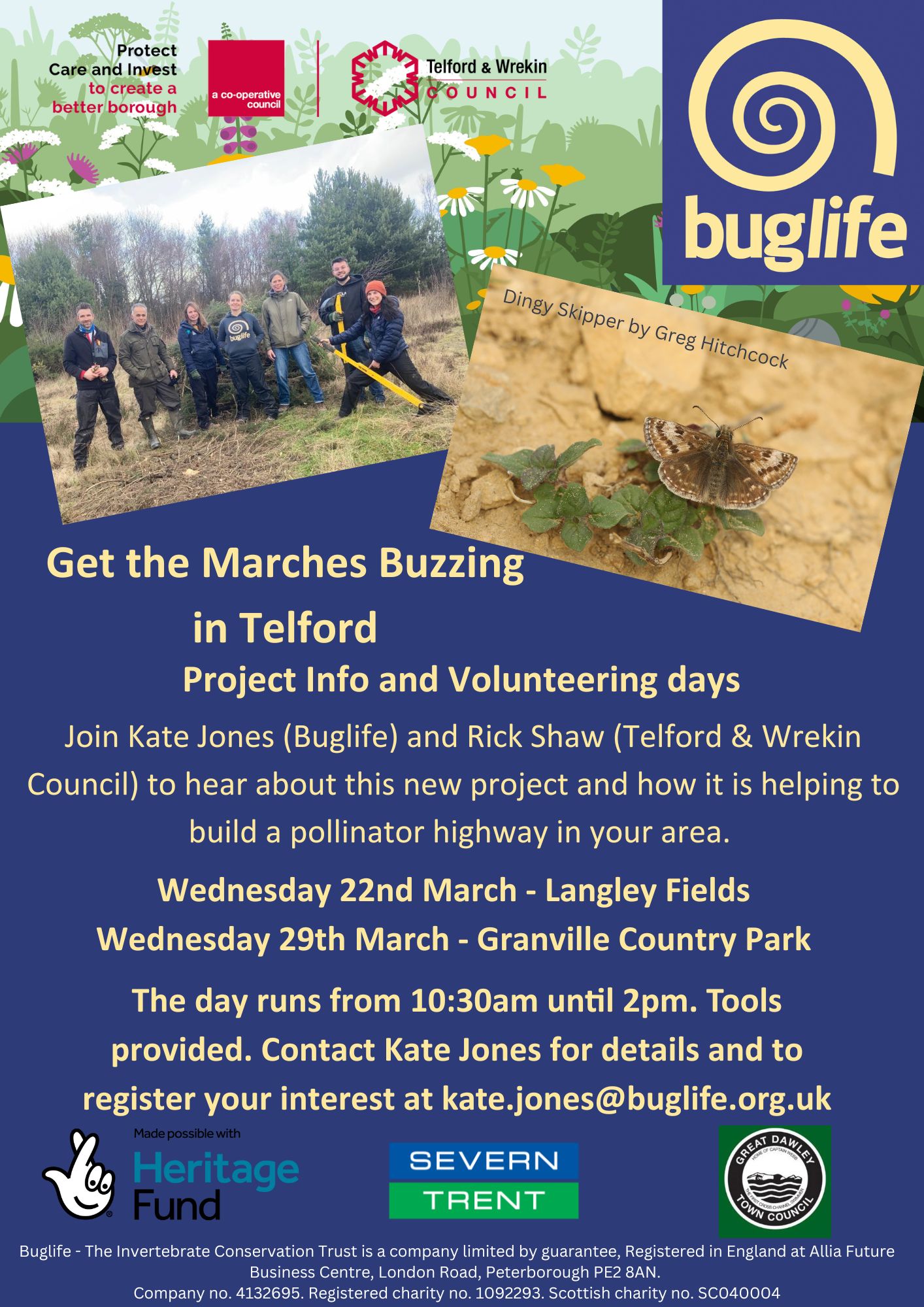 Get the Marches Buzzing Project information & Volunteering days