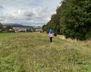 Surveying Kirriehill Grassland © Claire Pumfrey