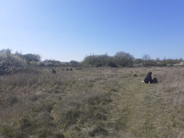 Pollinator FIT Count training with Buglife at Canvey Wick - Buglife ...